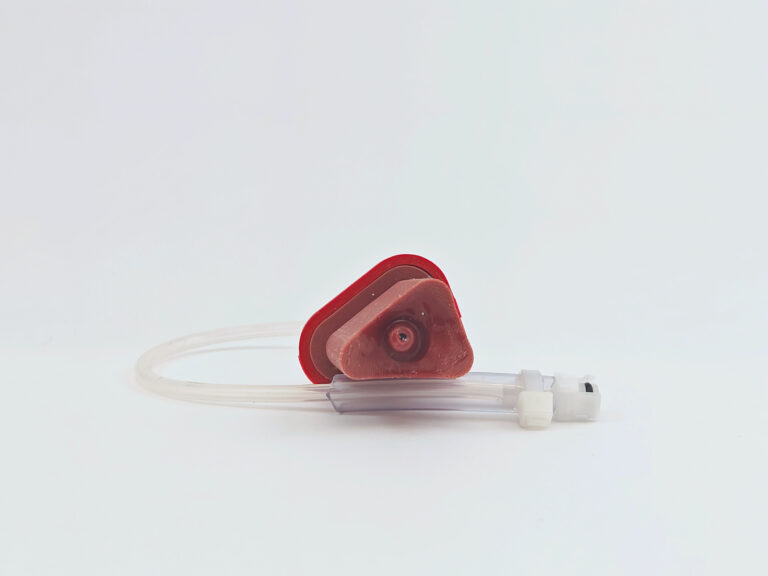 Duodenum Bleeding Insert 1