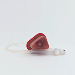 Duodenum Bleeding Insert