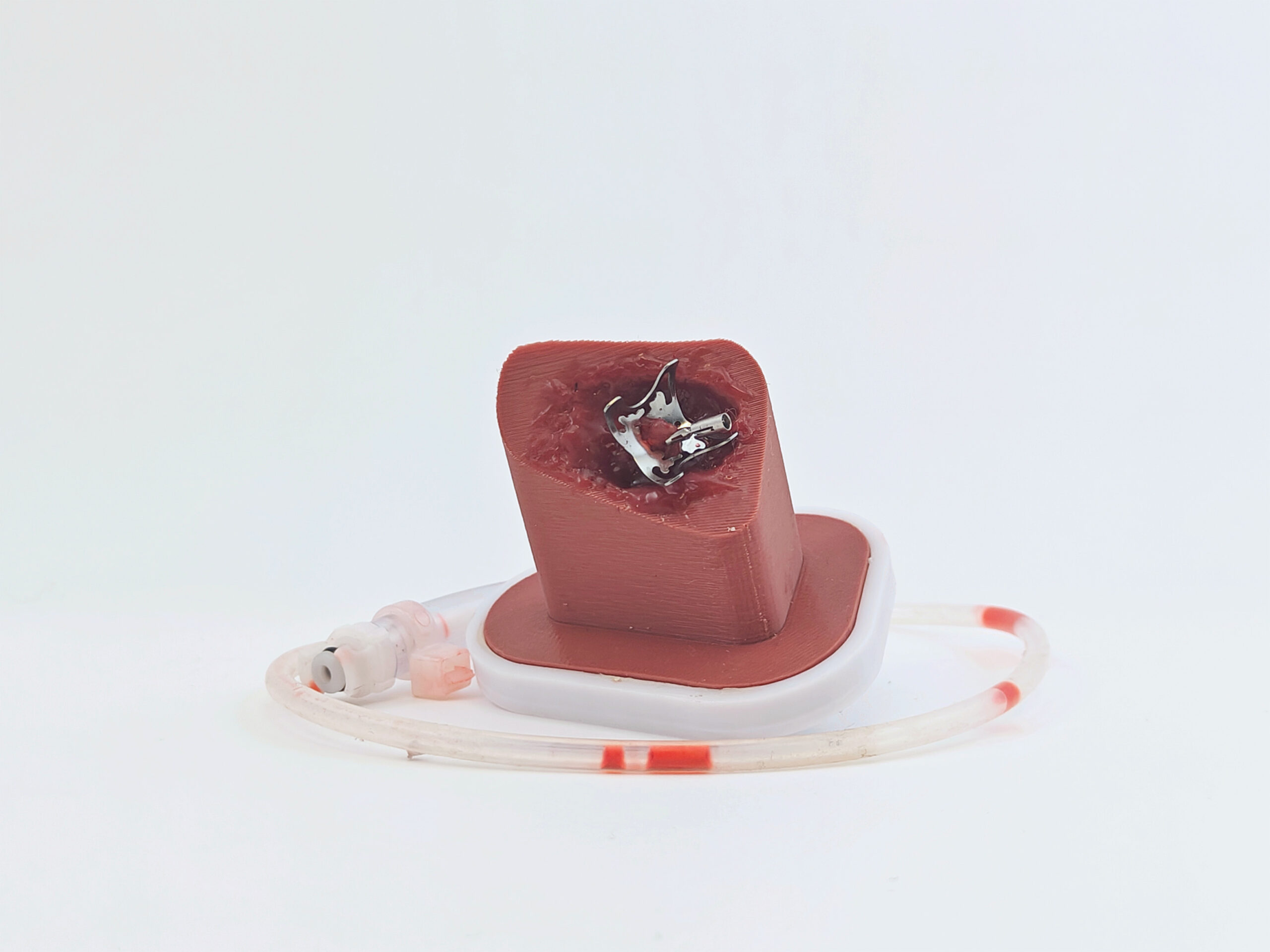 Ventricle Bleeding Insert 2 Ventricle Bleeding Insert - Image 2