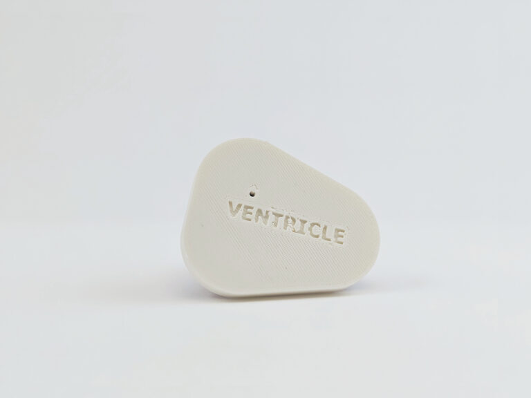 Ventricle Injection Insert 2