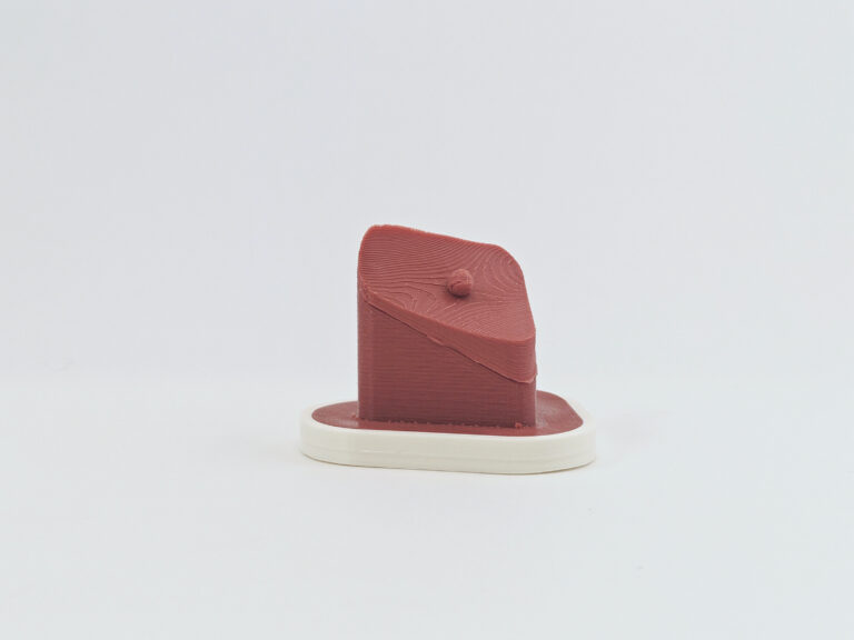 Ventricle Polyp Insert 1