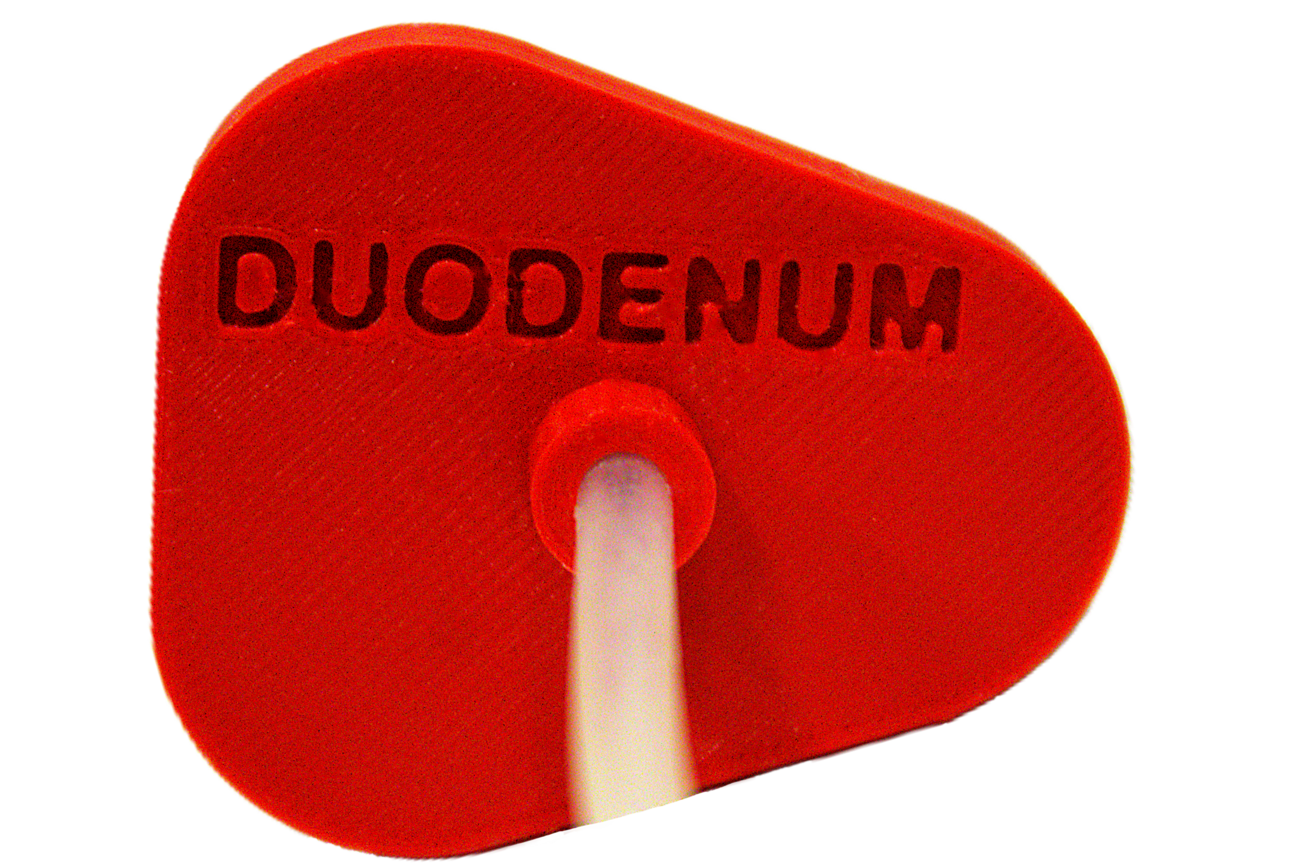 duadenom bag Duodenum Bleeding Insert - Image 3