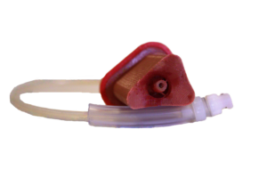 Duodenum Bleeding Insert
