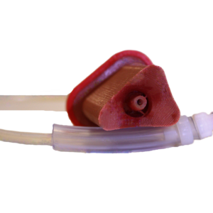 Duodenum Bleeding Insert