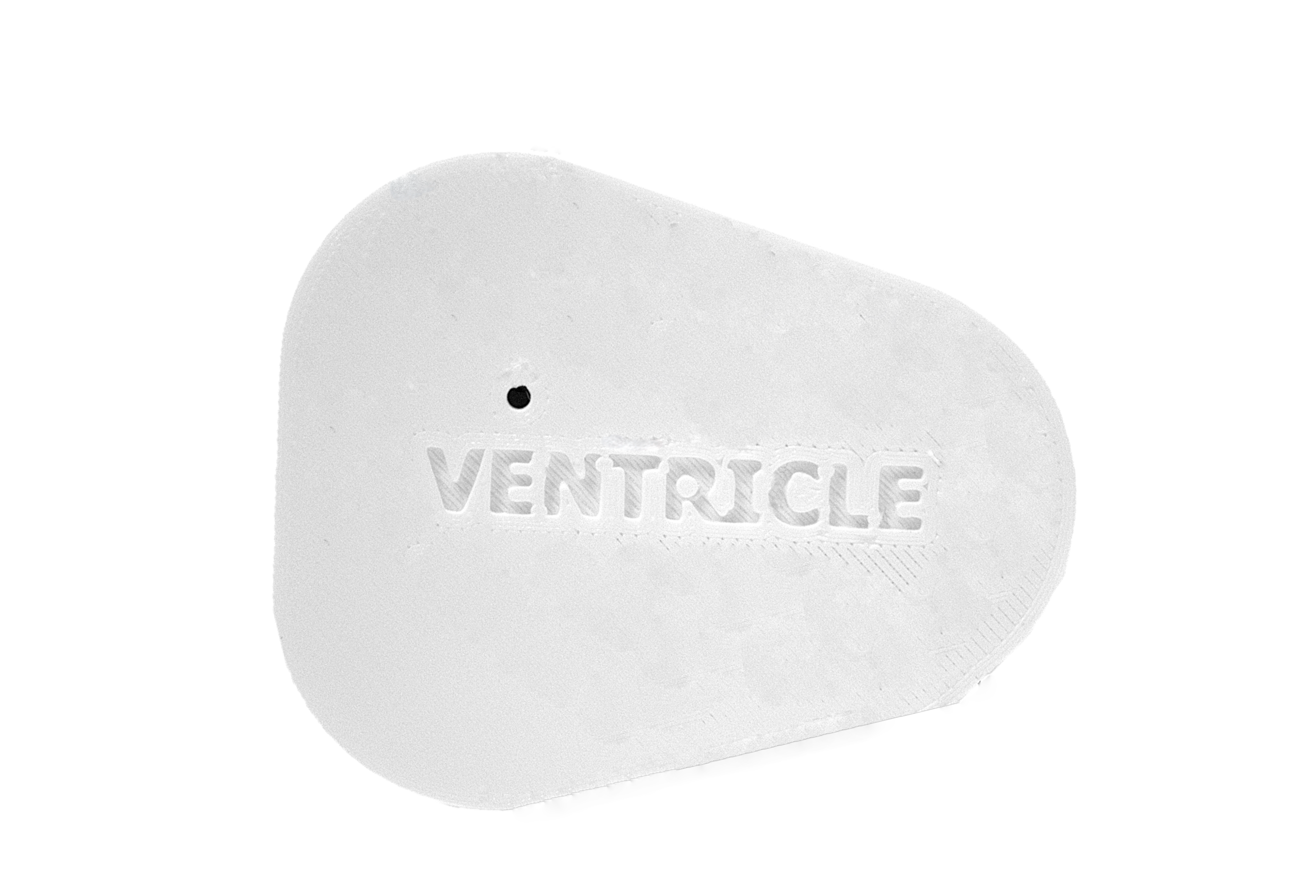venctricle 2 back Ventricle Injection Insert - Image 3