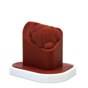 ventricle 2 manual Ventricle Injection Insert