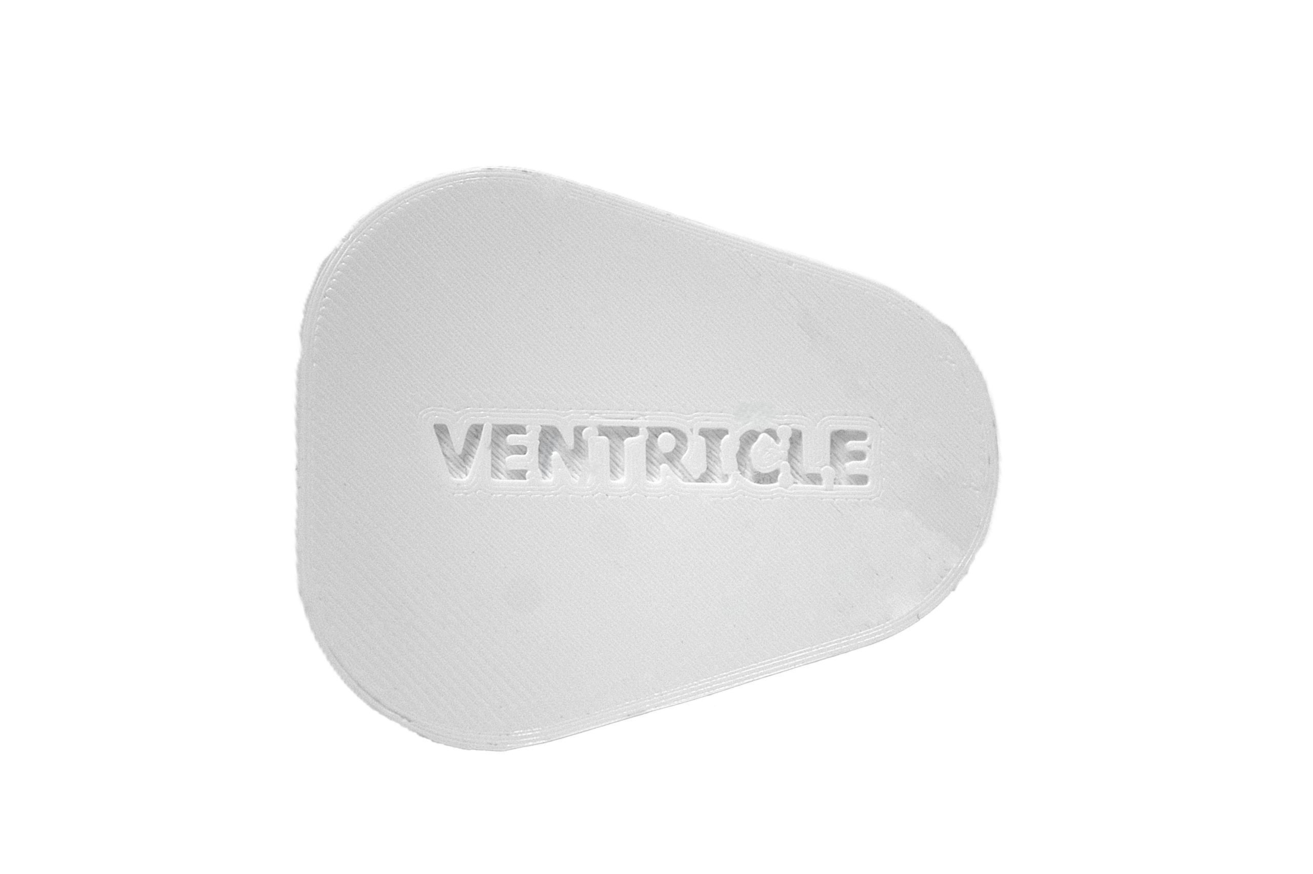 ventricle bag Ventricle Polyp Insert - Image 4