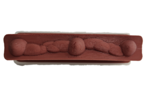 Esophagus Insert with Varices